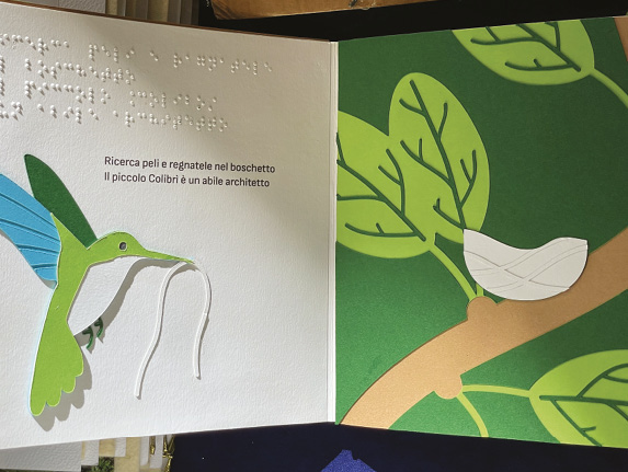 Dettaglio del libro "Il nido del piccolo colibrì" - Chiara Sarri design