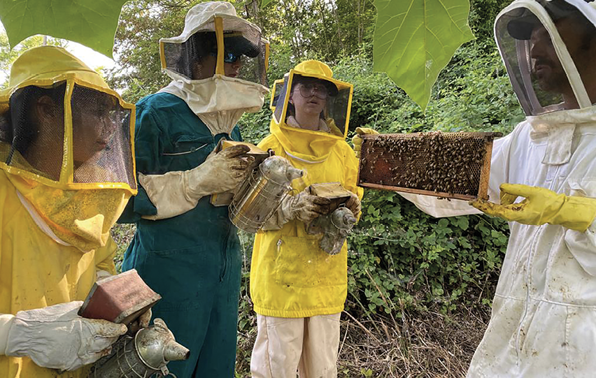 Some youth in beekeeper’s attire working with hives