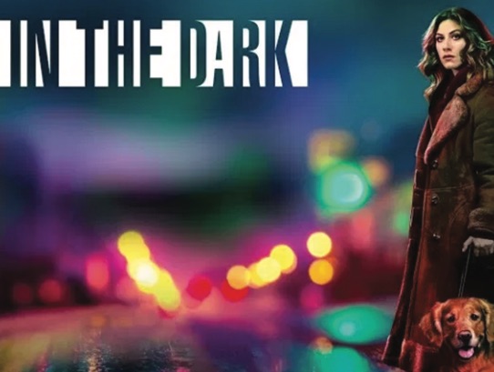 Poster of the series "In the Dark"