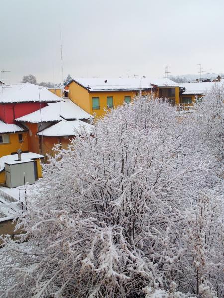 tetti imbiancati dalla neve