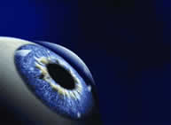 Image of a cornea