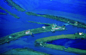 Picture - Aerial view of the Po Delta 