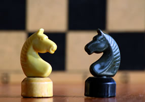 Picture - Horses of a chess game 