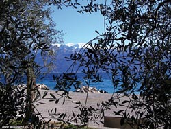 Picture - Bogliaco on Lake Garda
