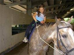 Picture - Girl riding a horse