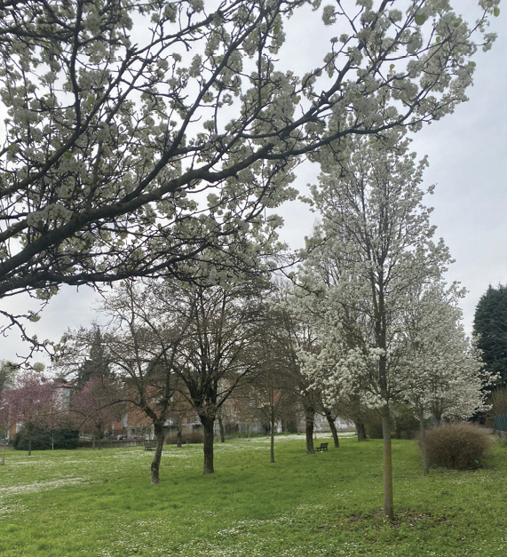 Parco Urbano dedicato a Francesco Kolletzek - Bologna,  foto Paola Furlan