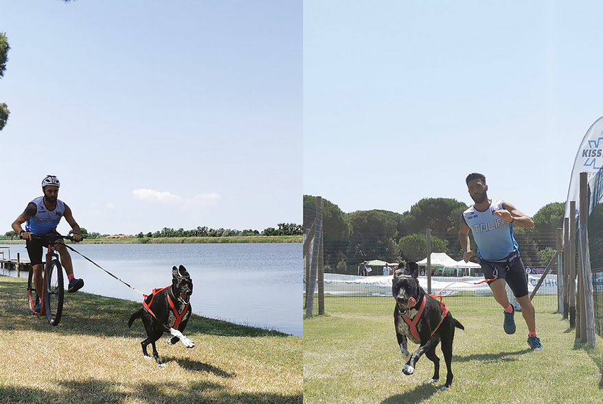 Luca Pilato in una gara di Dog Triathlon - foto di Franco Brussolo