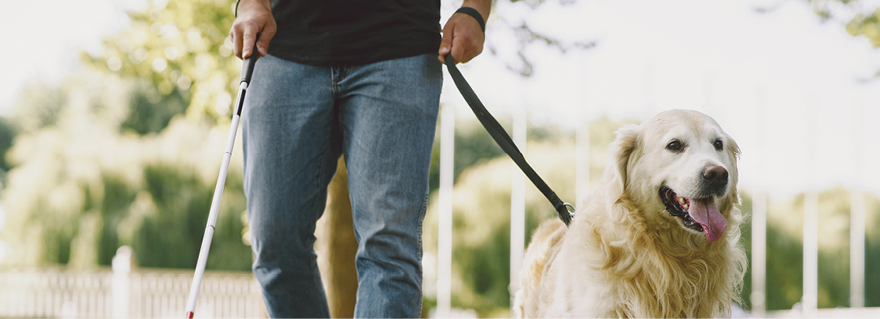 Un cane guida e il suo padrone