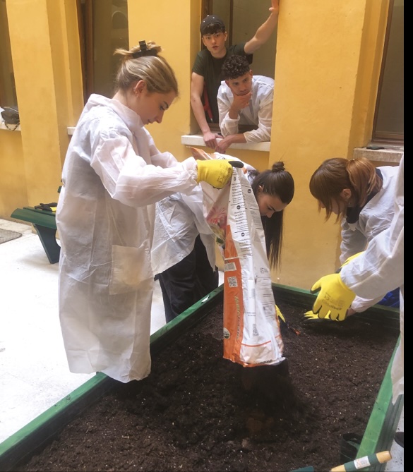 Gli studenti della II C allestiscono il Giardino dei Sensi -  Istituto Cavazza, Bologna