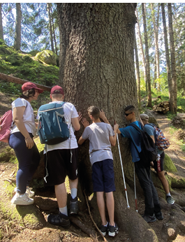 Children hugging a secular tree