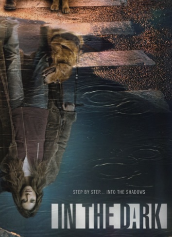Poster of the series "In the Dark"