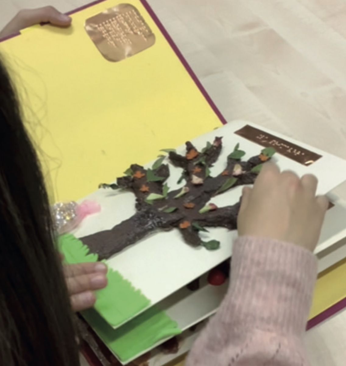 Tactile books 