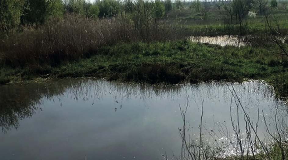 The natural park at the ex Gamberini Barracks - Ozzano dell'Emilia