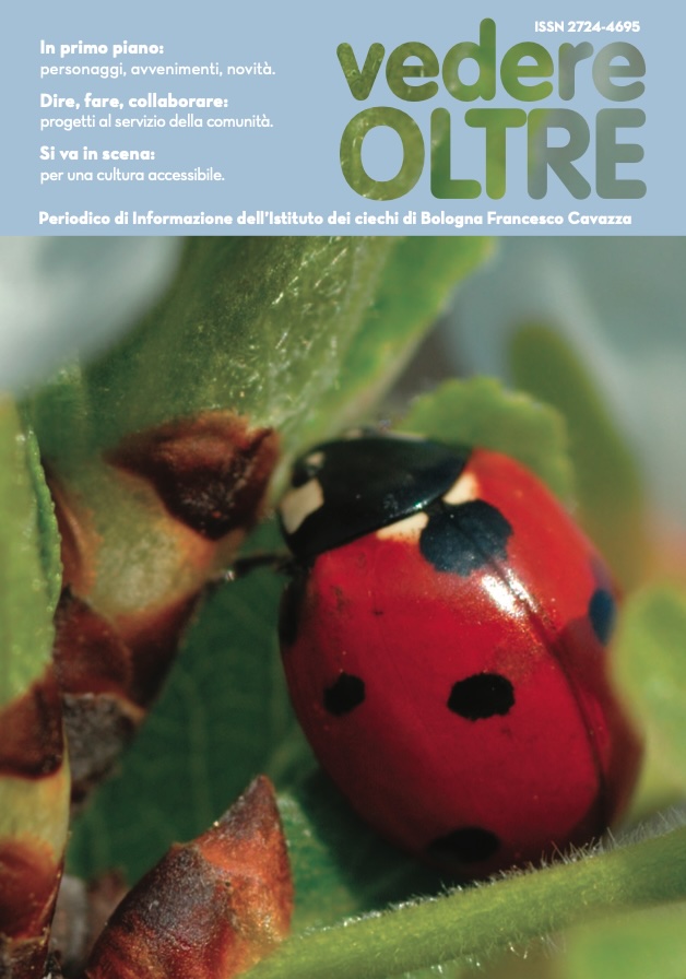 Vedere Oltre - Miniatura di copertina