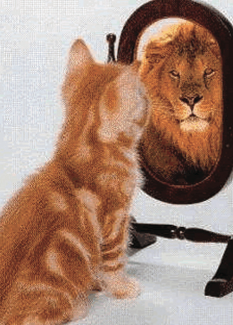 Cat watching himself in the mirror and seeing a lion