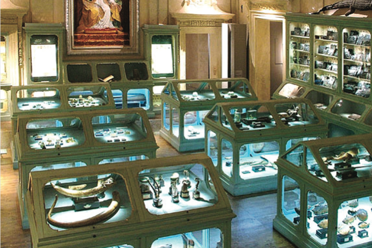 Ulisse Aldrovandi Museum - Natural History, Palazzo Poggi 