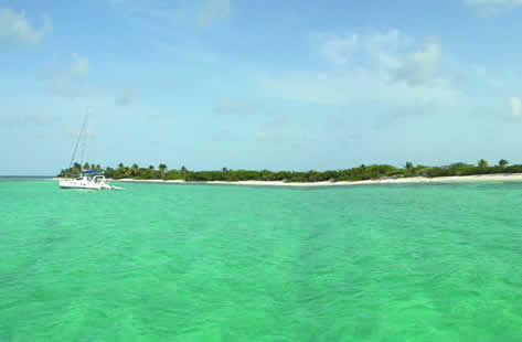 Picture of an island