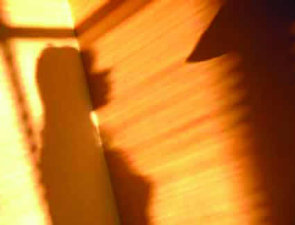 Shadow on a wall
