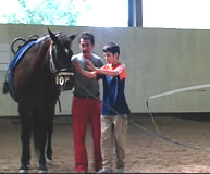 Differently abled and hippotherapy