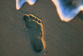 Footprint on forehore