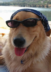 Zoe with glasses and a bandana