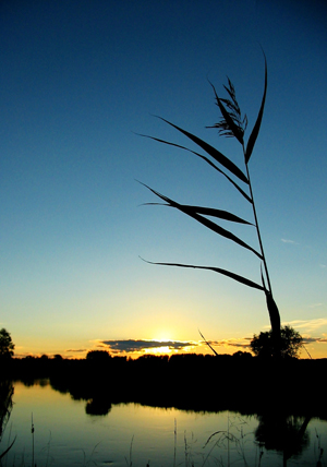 Picture of a sunset on the canal