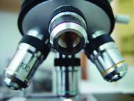 Picture - Microscope