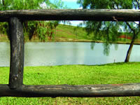 Picture - Park