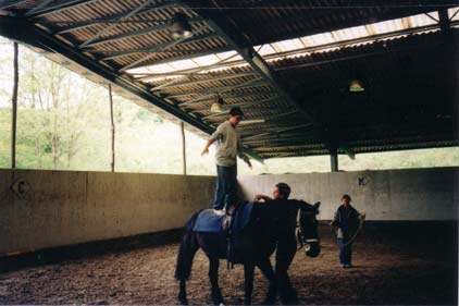 Foto - Esercizi effettuati da uno dei ragazzi durante l’incontro al maneggio GESE di San Lazzaro di Savena 