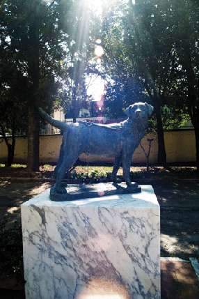 Picture of a statue dedicated to the guide dog