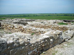 Foto - Pianura di Canne della Battaglia in Puglia