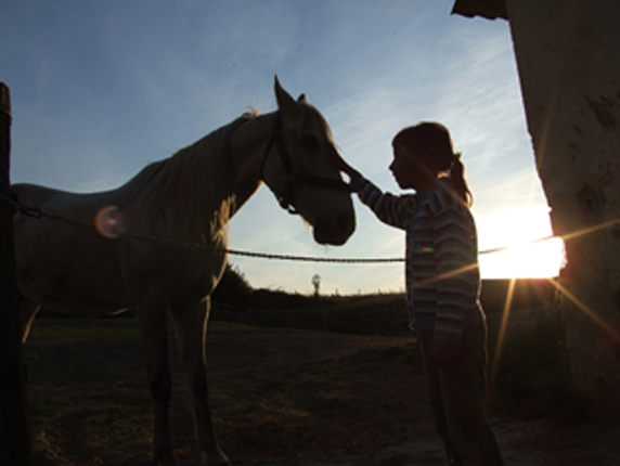 Foto - Bambina non vedente con un cavallo