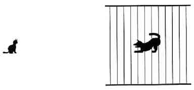 Image - Drawing of a cat and a dog for a test on maculopathy