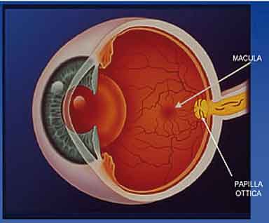 Image - Representation of an eye