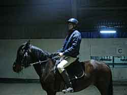 Picture - Matteo Stefani training on his horse