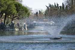 Picture - Lake at the Margherita Gardens