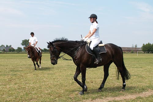 Picture - Horses and riders, horse riding and technology