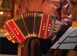 Picture - Accordionist