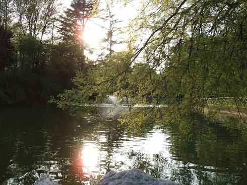 Foto - Giardini Margherita - Bologna