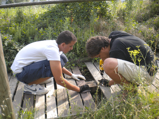 Picture - Two teenagers involved in manual work