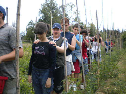 Picture - A group of young people on a mobility test