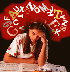 Foto - Ragazza che studia