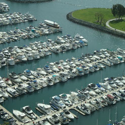 Picture - San Diego Marina