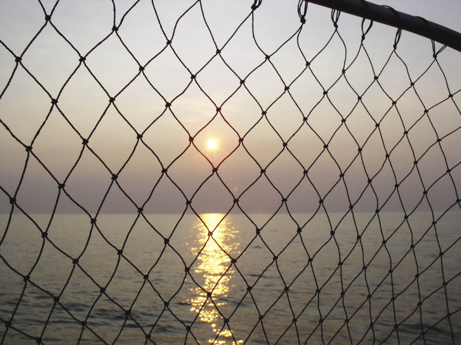 Foto - Tramonto sul mare attraverso una rete